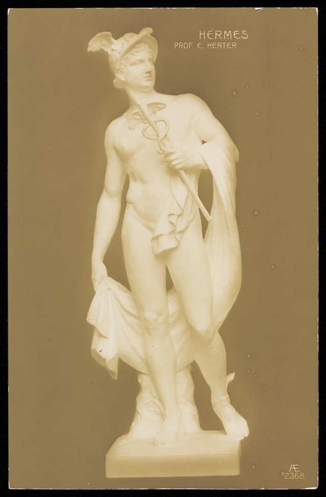 No text description is available for this image