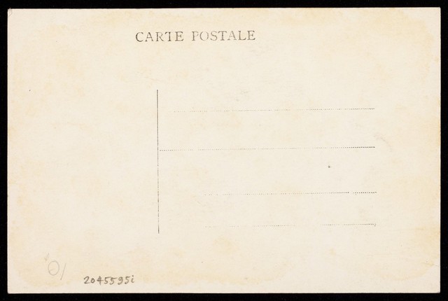 No text description is available for this image