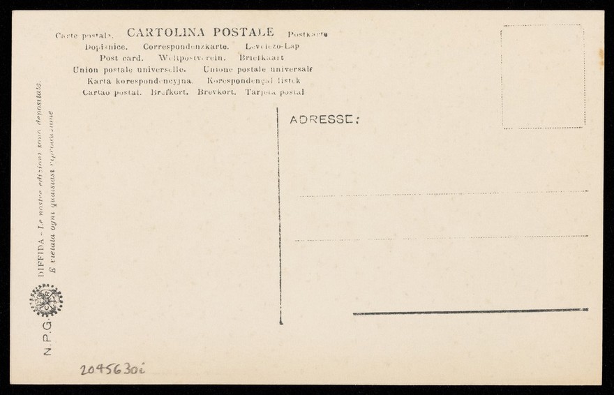 Antinous. Photographic postcard, 192-.