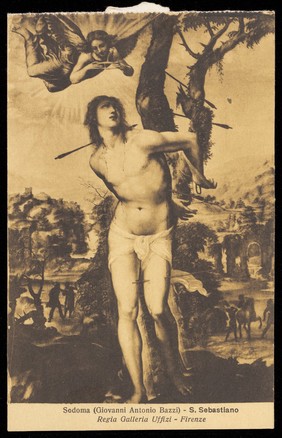 Saint Sebastian. Process print after G.A. Bazzi, il Sodoma, 192-.