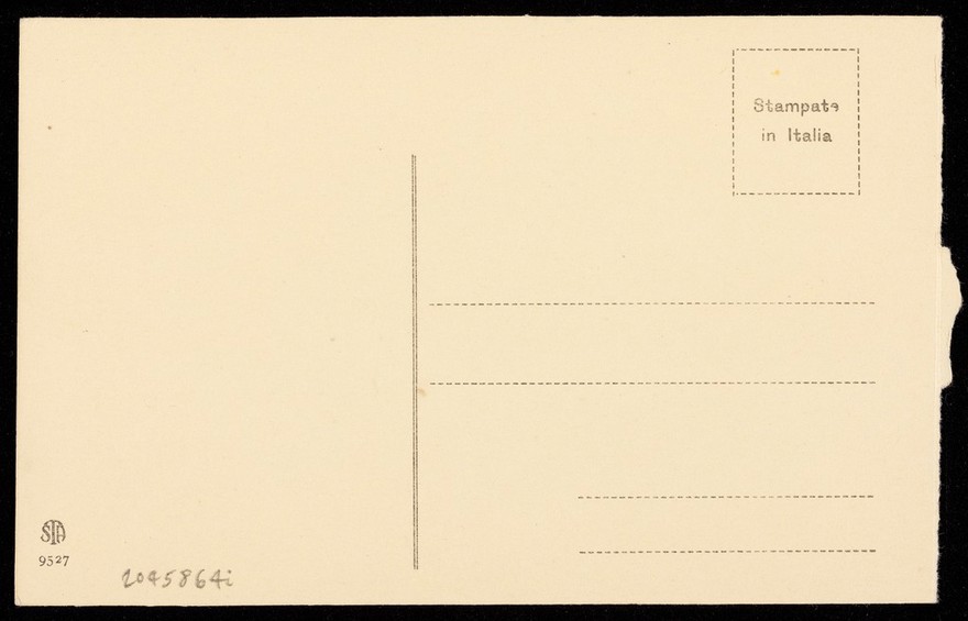 Saint Sebastian. Process print after G.A. Bazzi, il Sodoma, 192-.