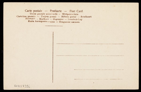 Achilles. Photographic postcard, 190-.