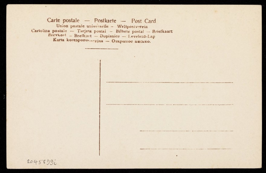 Achilles. Photographic postcard, 190-.