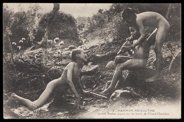 No text description is available for this image