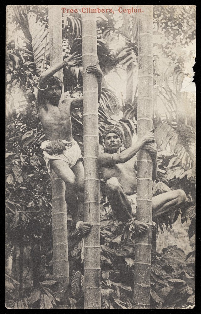 No text description is available for this image