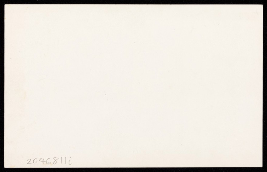 "Specimen studies" from the photographic studio of James & Co., Liverpool. Photographic postcard, 19--.