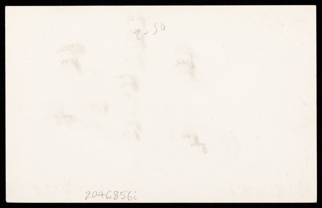 No text description is available for this image