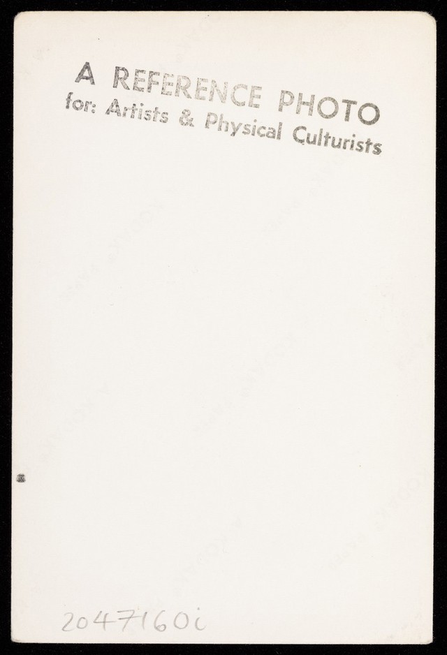 No text description is available for this image