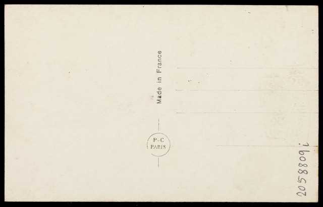 digitised image 2