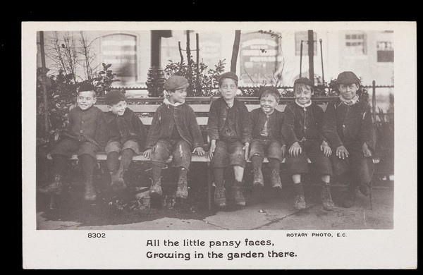Little boys sitting on a bench. Photographic postcard, 19--.
