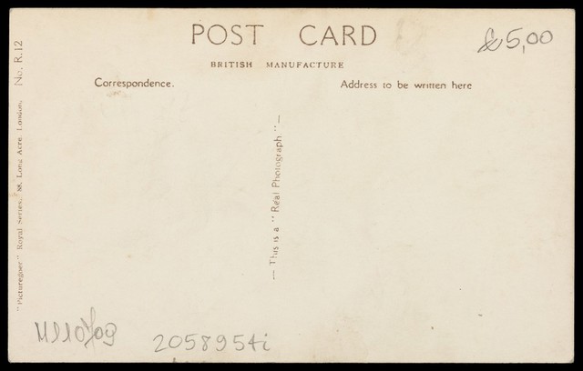 digitised image 2