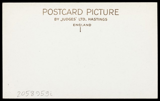 digitised image 2