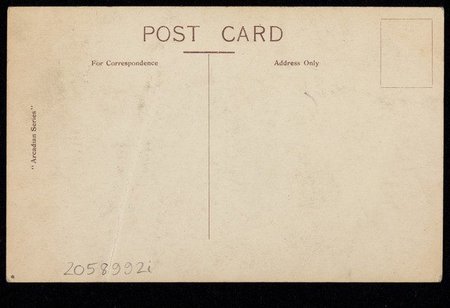 digitised image 2