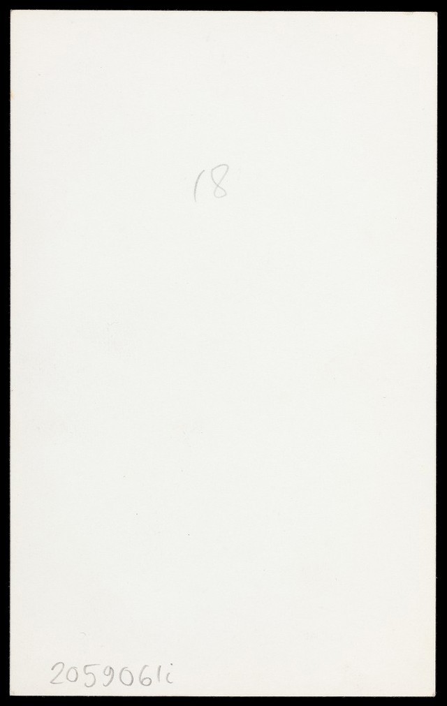 digitised image 2