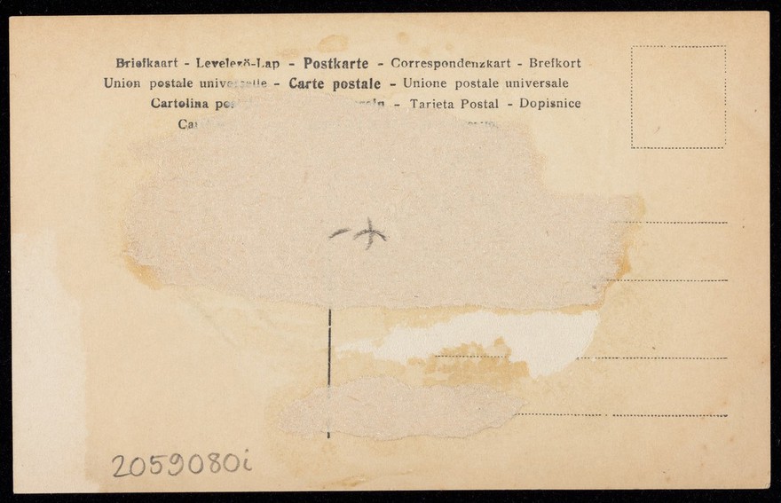 Pyotr Ilyich Tchaikovsky. Photographic postcard, 191-.