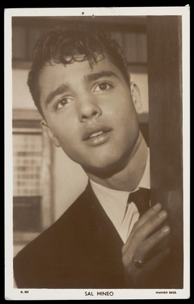 Sal Mineo. Photographic postcard, 195-.