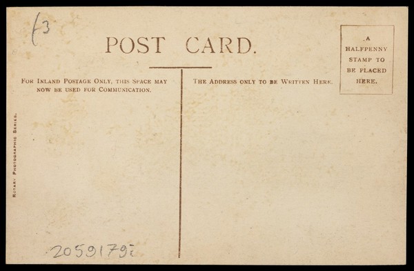 Walt Whitman. Photographic postcard after N. Sarony, 190-.