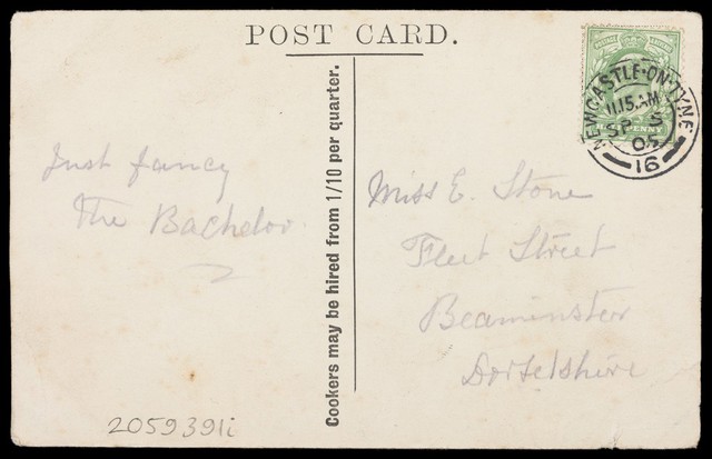 digitised image 2