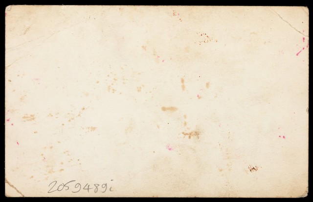 digitised image 2