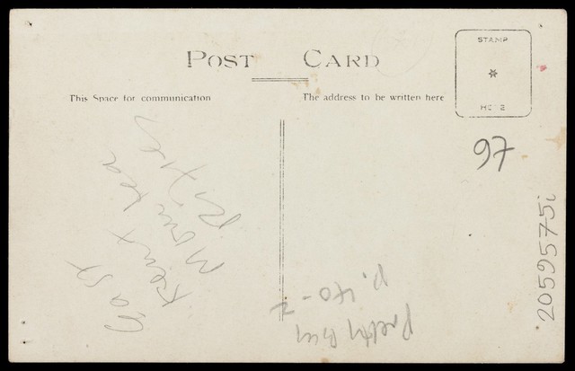 digitised image 2