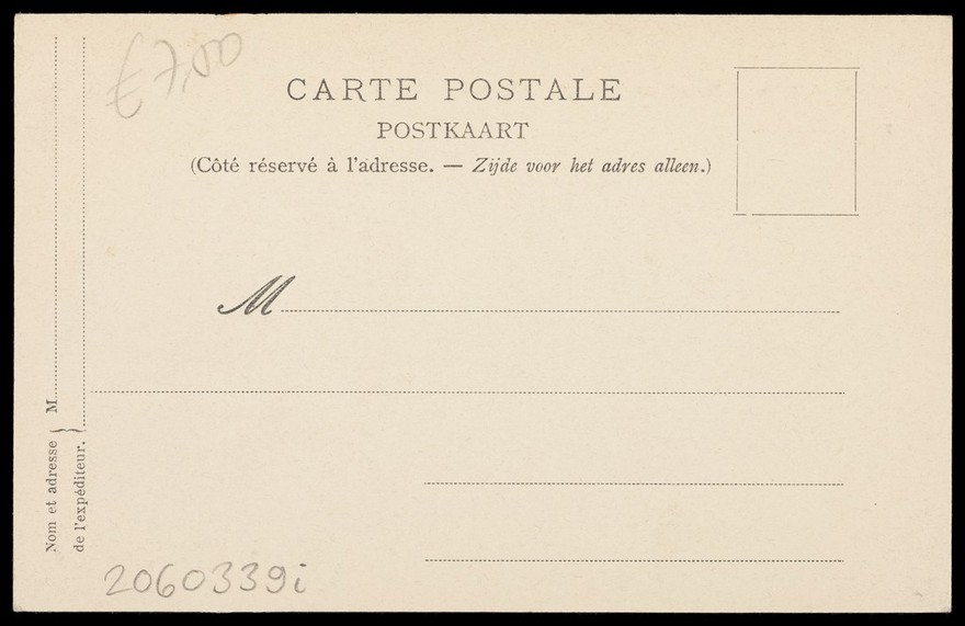 Ecole Normale de Gymnastique et d'Escrime, Joinville, Val-de-Marne: Belgian soldiers performing gymnastic exercises. Process print, 190-.