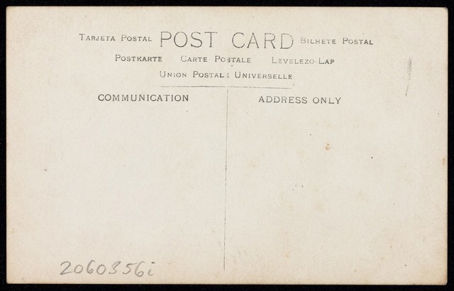 digitised image 2