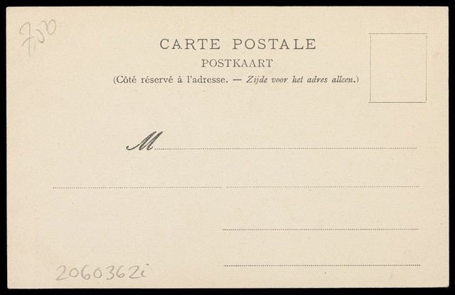 digitised image 2