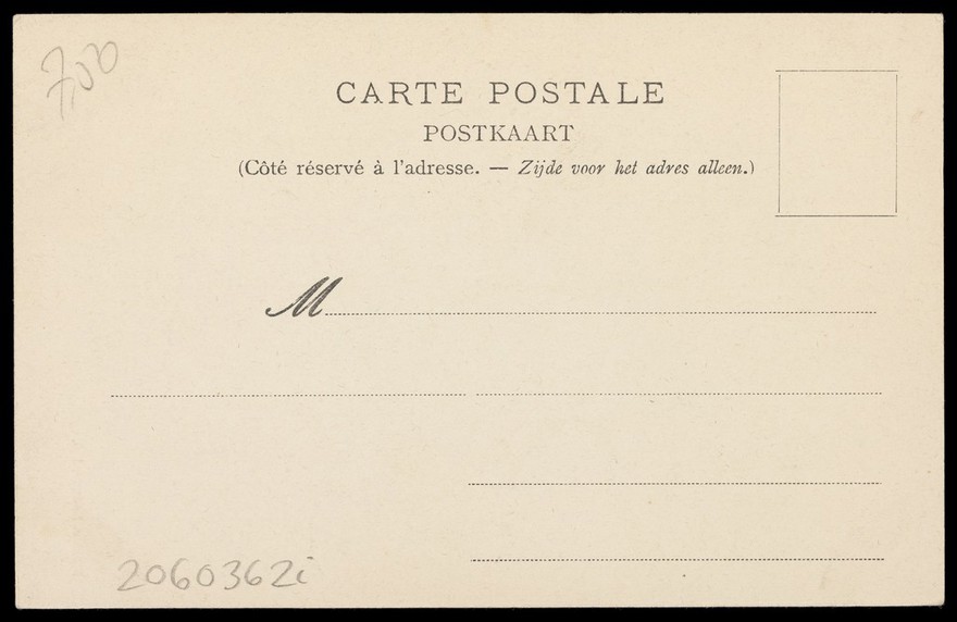 Ecole Normale de Gymnastique et d'Escrime, Joinville, Val-de-Marne: Belgian soldiers performing gymnastic exercises. Process print, 190-.