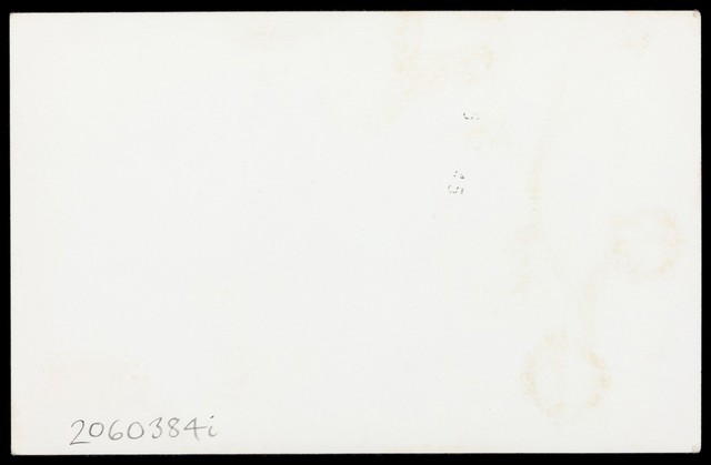 digitised image 2
