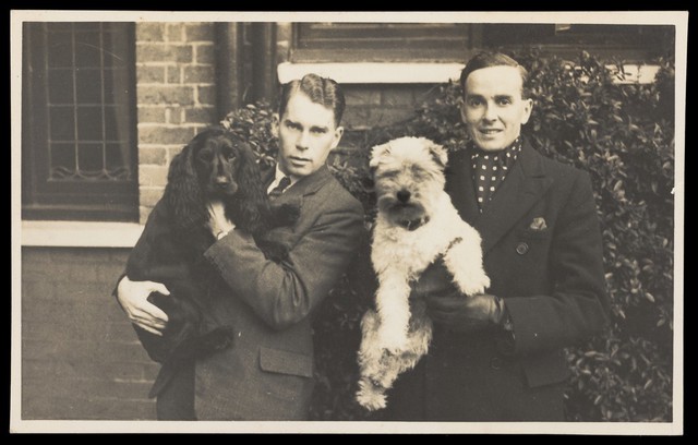 digitised image 1