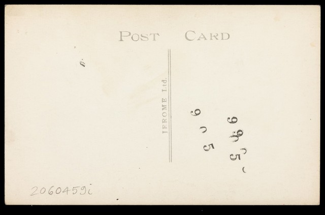 digitised image 2