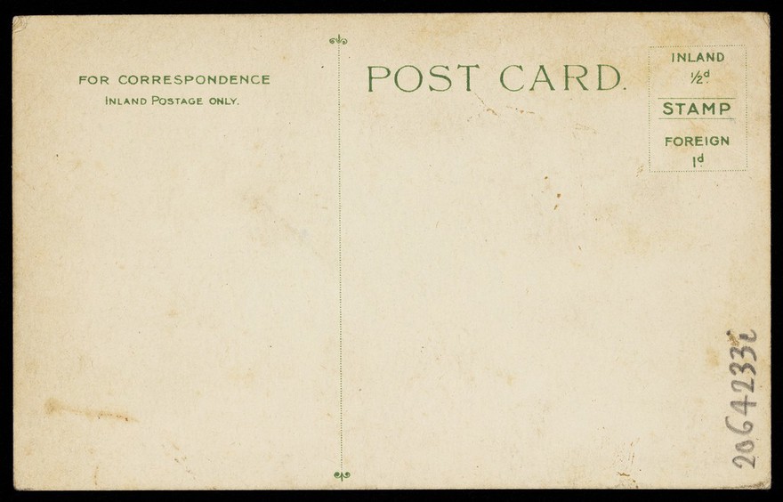 Russell Wallett in drag as a Gibson Girl. Process print, 19--.