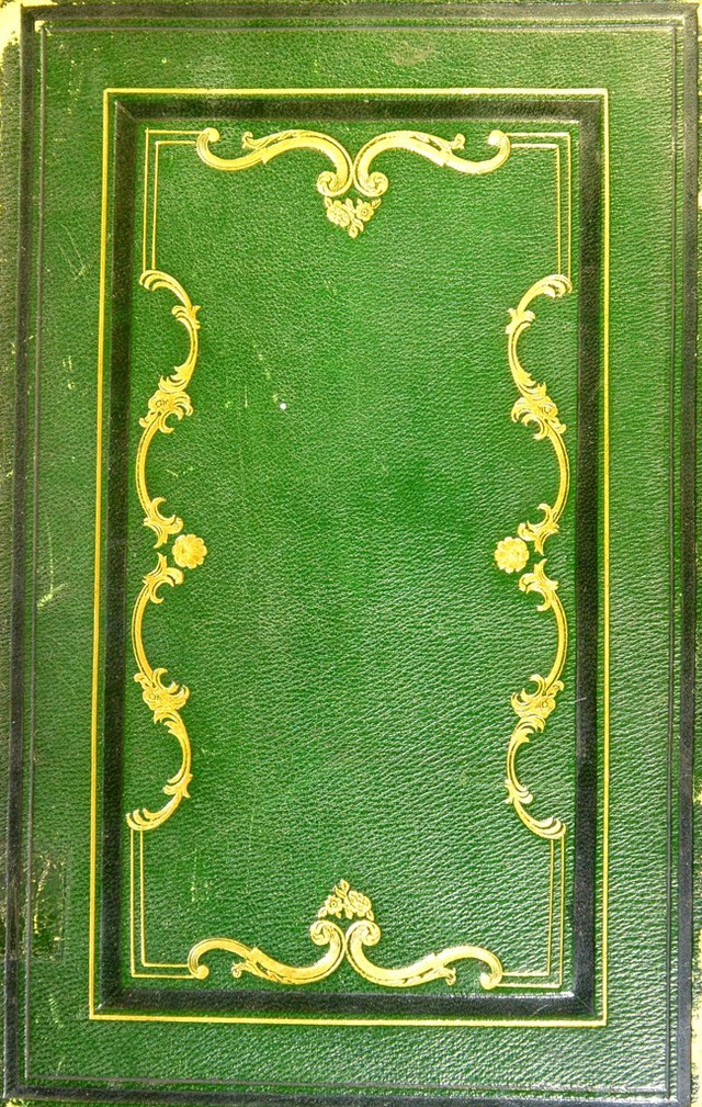 No text description is available for this image