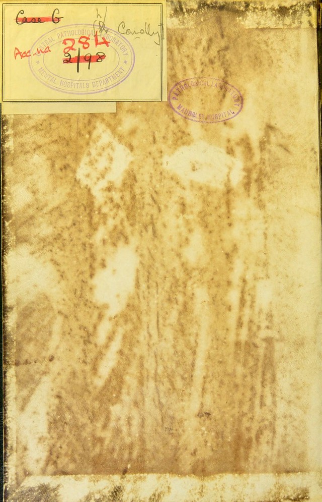 No text description is available for this image