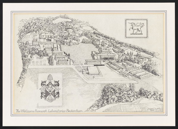 The Wellcome Research Laboratories, Beckenham: bird's eye view. Drawing by V. New, 1981.