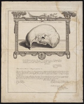 Delineatio partis sinistrae cranii devi Rumoldi martyris, Mechliniensium patroni colendisimi / concordat cum originali, attestor F.A. Vanderlinden, Urbis ac provinciae Mechlin Secretarius ; G. Herreyns delinearit.