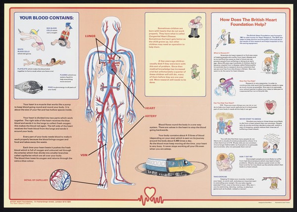 Your blood contains / Designed by David Blann ; illustrated by Ivana T. Cooke.