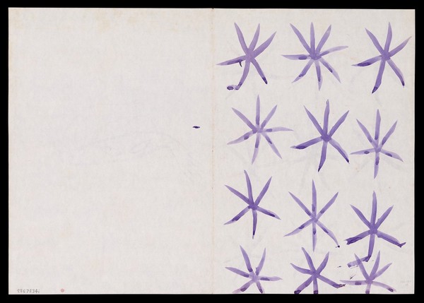 Left, blank; right, twelve mauve stars. Watercolour by M. Bishop, ca. 1976.