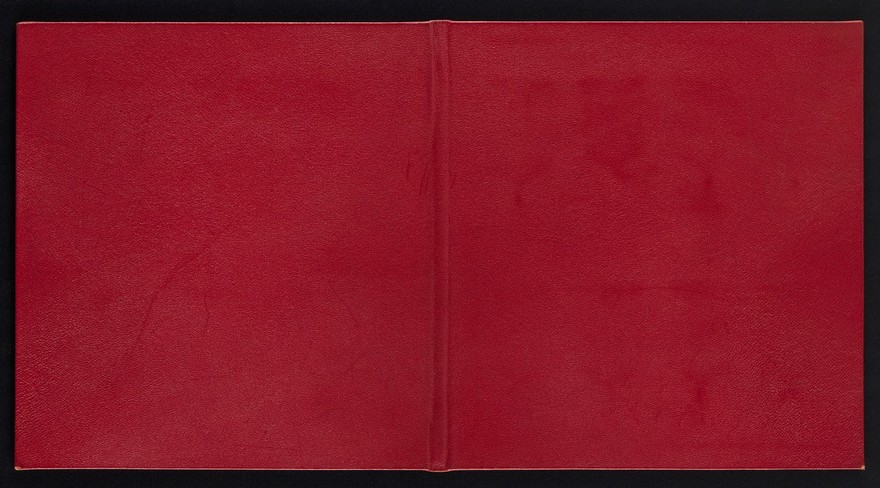 Hospital Saturday Fund : [fold-out presentation album of T. Stevens and W.H. Grant's 14 street collection flags from between 1886 to 1897 with a 1996 congratulatory telegram from Mr. and Mrs. Eusden and their business card].