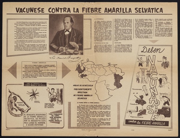 Vacunese contra la fiebre amarilla selvatica.