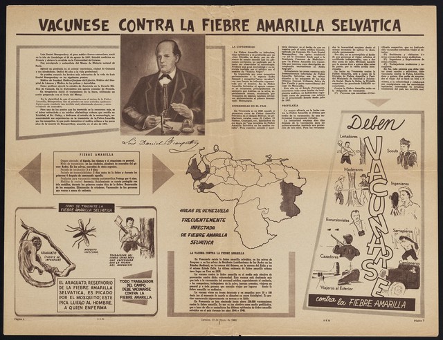 Vacunese contra la fiebre amarilla selvatica.