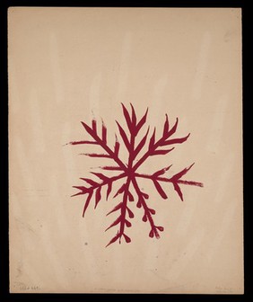 A hooked cross resembling a snowflake crystal. Watercolour by M. Bishop, 1968.