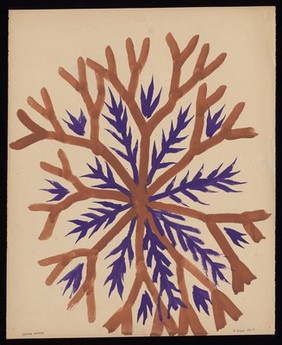 An outgrowth with alternating brown branches and purple spikes. Watercolour by M. Bishop, 1968.
