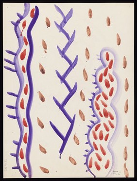 A serpentine line, a line of Y-forms and a line of guilloches. Watercolour by M. Bishop, 1970.