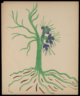 A tree. Watercolour by M. Bishop, 1969.