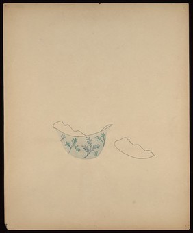 A broken bowl. Watercolour by M. Bishop, 1959.