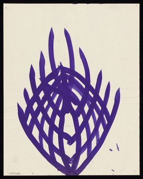 A purple mesh of curved lines with spiky tips. Watercolour by M. Bishop, 1969.