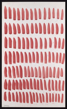 Seven lines of red darts. Watercolour by M. Bishop, ca. 1970.