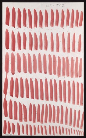 Six lines of red darts. Watercolour by M. Bishop, ca. 1970.