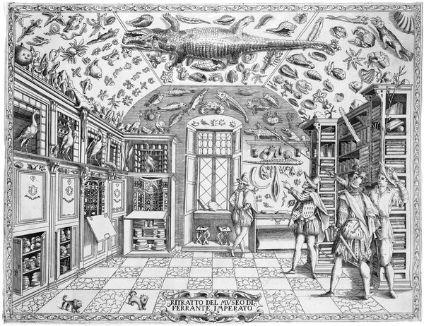 Historia naturale di Ferrante Imperato napolitano nella quale ordinatamente si tratta della diversa condition di minere, pietre pretiose, ed altre curiosità. Con varie historie di piante, ed animali, sin'hora non date in luce / [Ferrante Imperato].